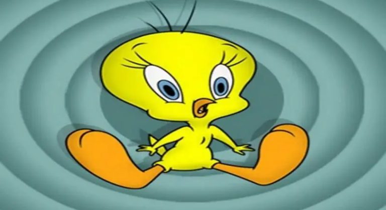 The Great Debate: Is Tweety Bird A Boy Or A Girl?