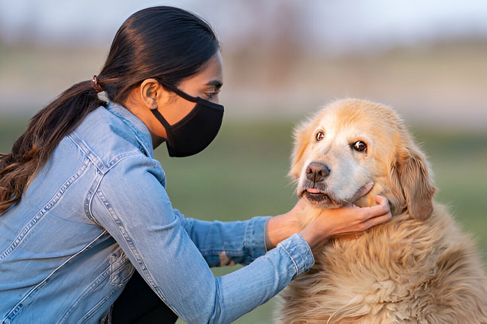 Medical Insights On Canine Exposure