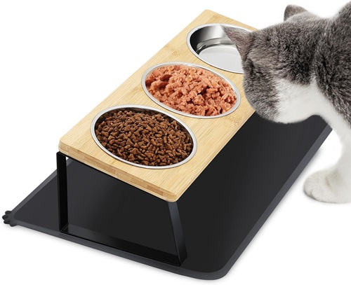 Durzerd 3 Elevated cat Bowls for Small Dog Photo