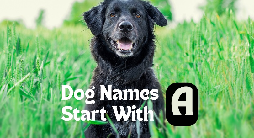 dog names that start with a