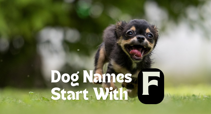 dog names that start with f