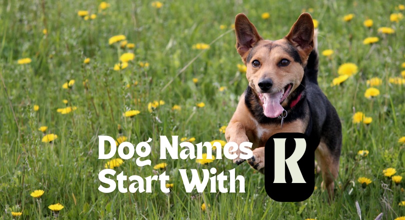 dog names that start with k