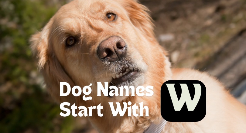 dog names that start with w