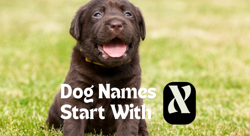 dog names that start with x