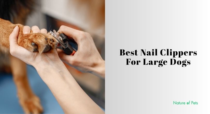 best nail clippers for large dogs