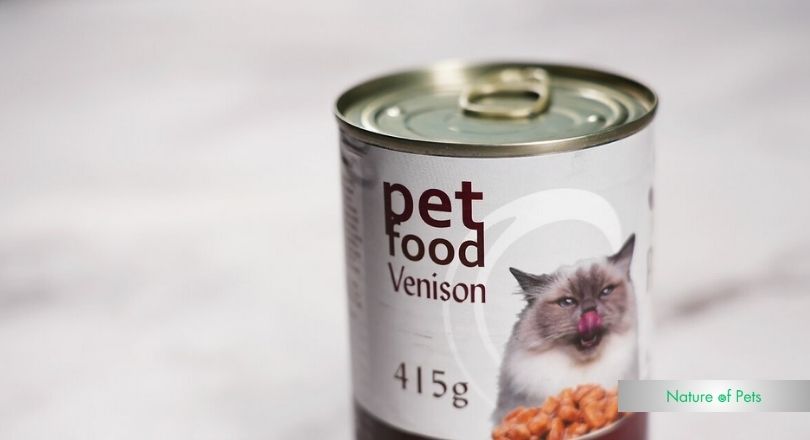how to keep wet cat food fresh