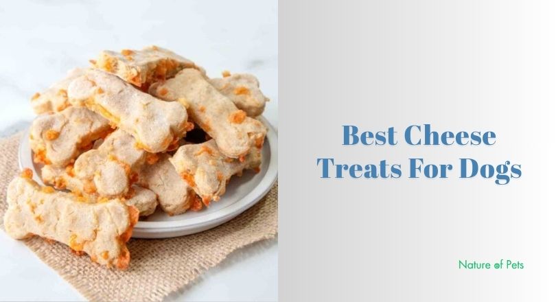 best cheese treats for dogs