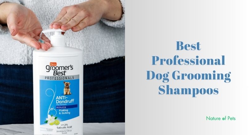 best professional dog grooming shampoos