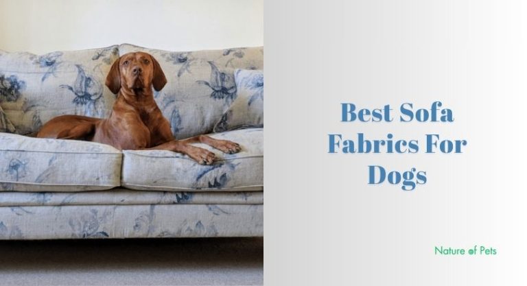 Top 10 Best Sofa Fabrics For Dogs Of 2026, Tested by Experts - [Nature ...