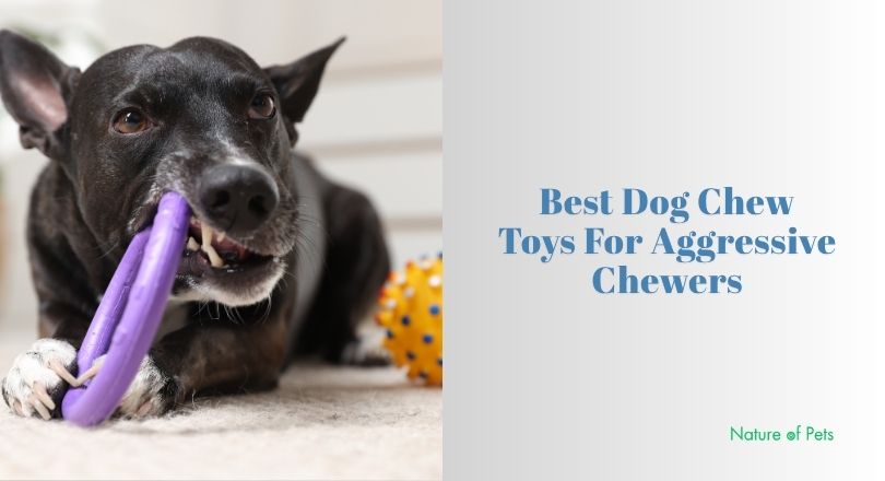 best dog chew toys for aggressive chewers