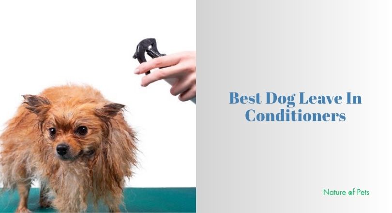 best dog leave in conditioners