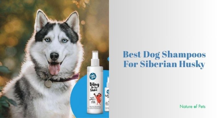 Our 10 Best Dog Shampoos For Siberian Husky To Buy In 2026 - [Nature of ...