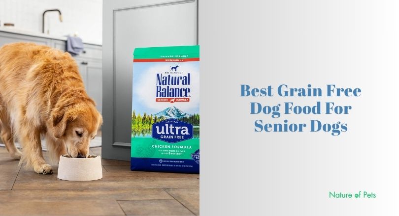 The 10 Best Grain Free Dog Food For Senior Dogs Top Picks Of 2026 The 10 Best Grain Free Dog Food For Senior Dogs Top Picks Of 2026