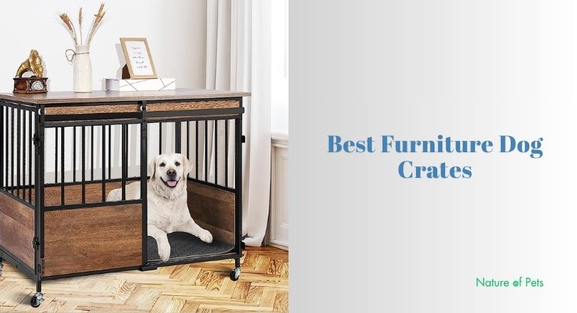 best furniture dog crates