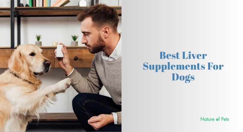 best liver supplements for dogs