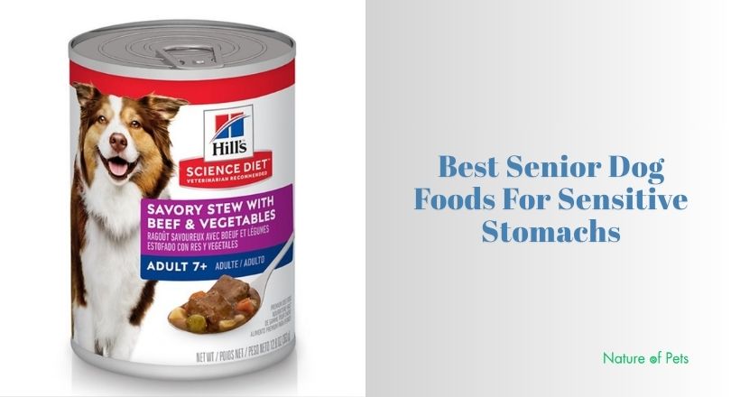best senior dog foods for sensitive stomachs