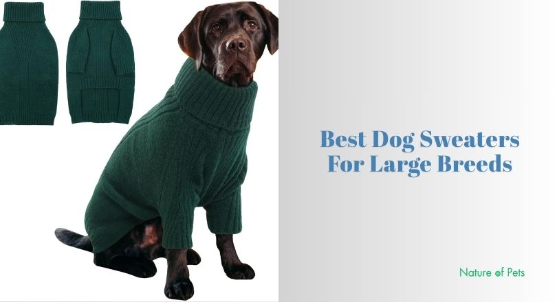 best dog sweaters for large breeds