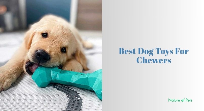 best dog toys for chewers