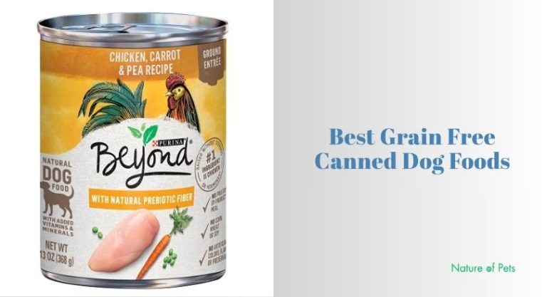 Our 10 Best Grain Free Canned Dog Foods – Top Picks Of 2026 - [Nature ...