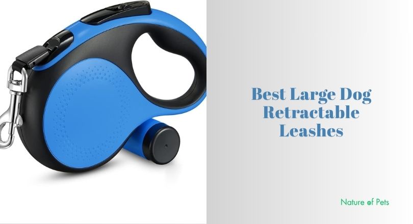 best large dog retractable leashes