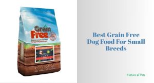 8 Best Grain Free Dog Food For Small Breeds (2026), Tested and Reviewed ...