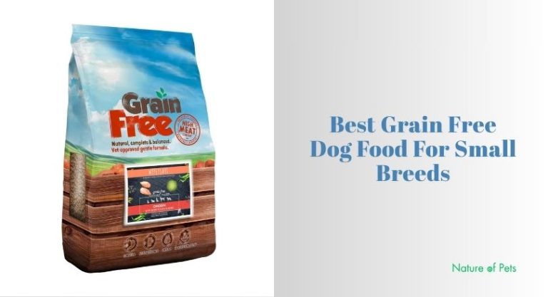 8 Best Grain Free Dog Food For Small Breeds (2026), Tested and Reviewed ...