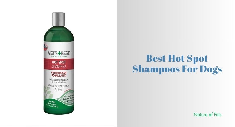 best hot spot shampoos for dogs