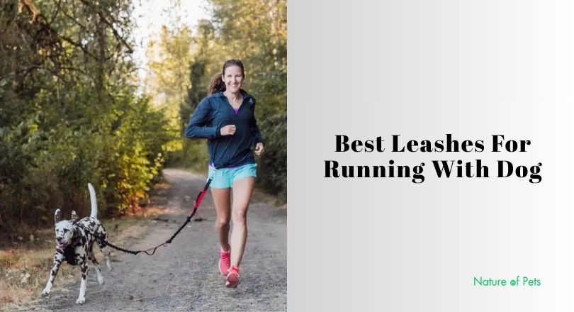 best leashes for running with dog