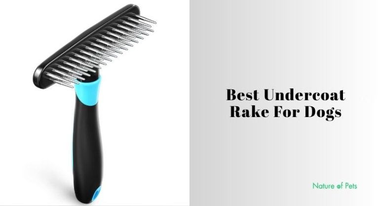 The 10 Best Undercoat Rake For Dogs – Top Picks Of 2026 - [Nature of Pets]