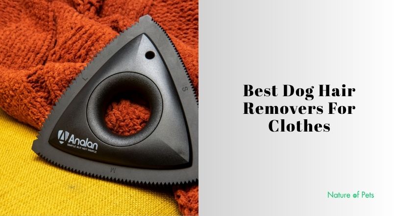 best dog hair removers for clothes