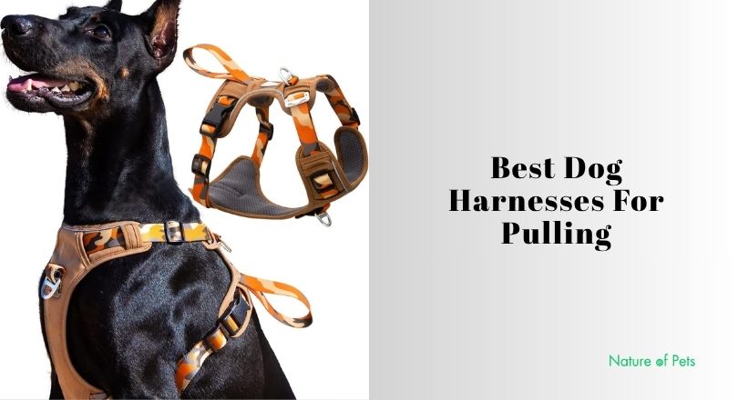 best dog harnesses for pulling