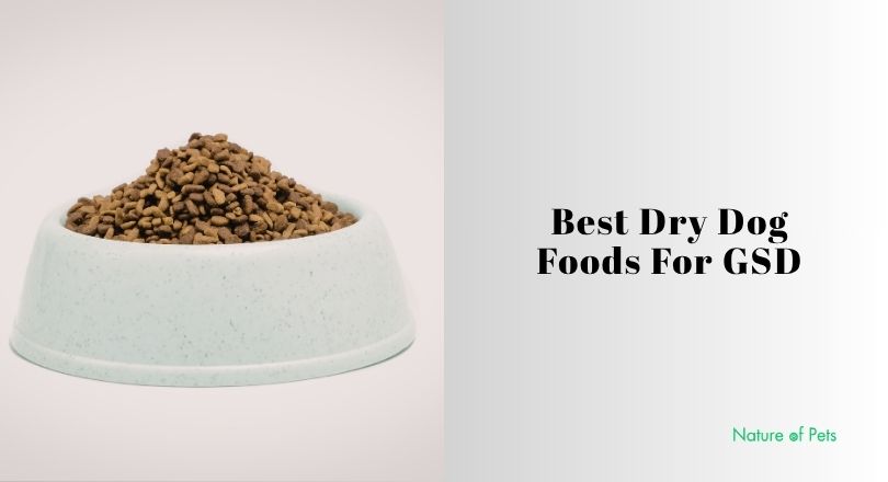 best dry dog foods for gsd
