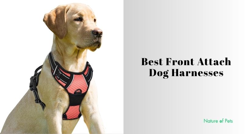 best front attach dog harnesses