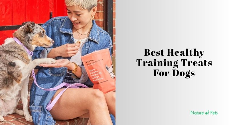 best healthy training treats for dogs