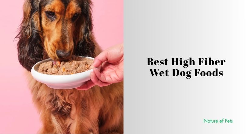 best high fiber wet dog foods