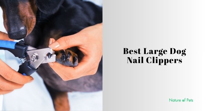 best large dog nail clippers