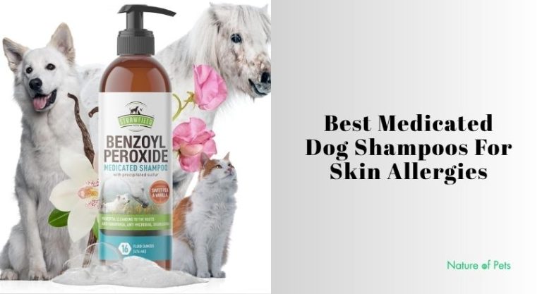 10 Best Medicated Dog Shampoos For Skin Allergies Of 2026, Tested by ...
