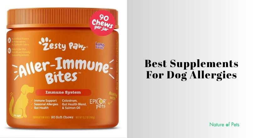 best supplements for dog allergies