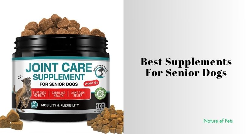 best supplements for senior dogs