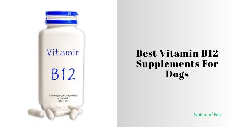 best vitamin b12 supplements for dogs