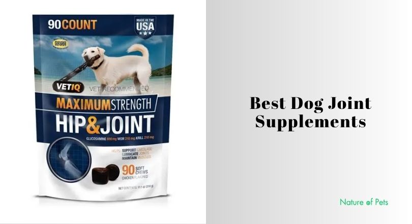 best dog joint supplements