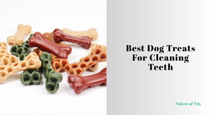 best dog treats for cleaning teeth