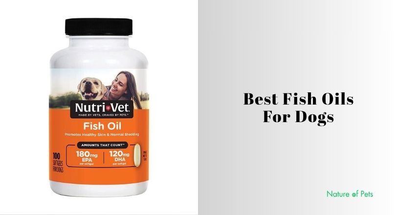 best fish oils for dogs