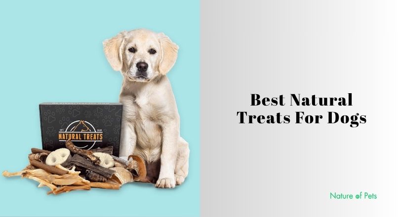 best natural treats for dogs
