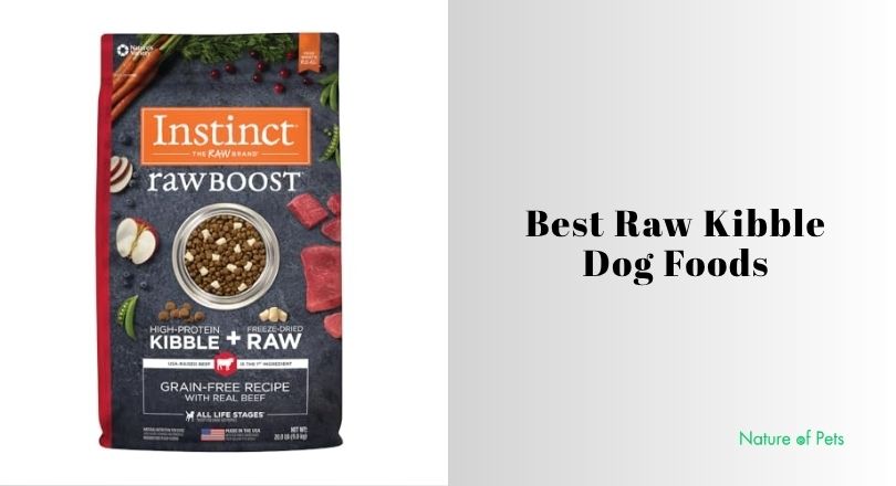 best raw kibble dog foods