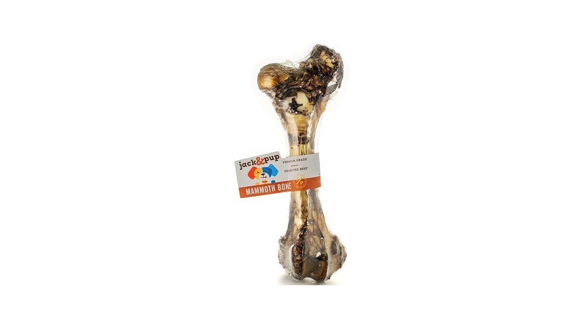 Jack&Pup Mammoth Femur