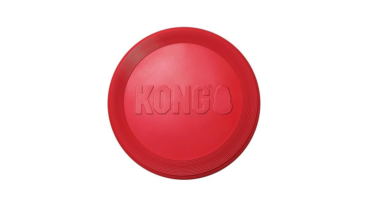 KONG Flyer
