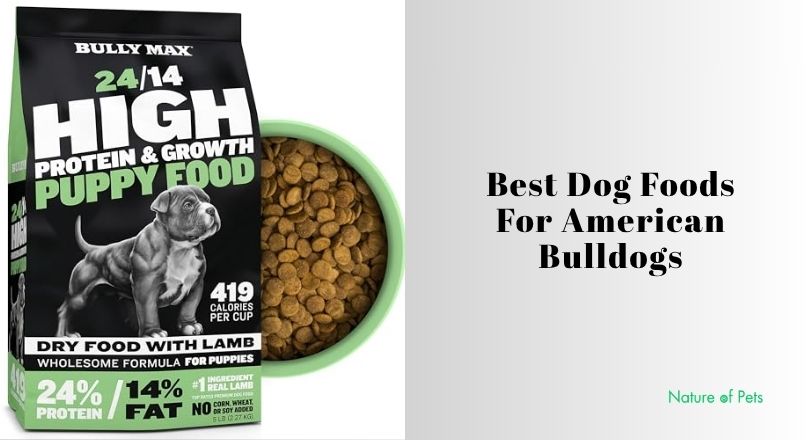 best dog foods for american bulldogs