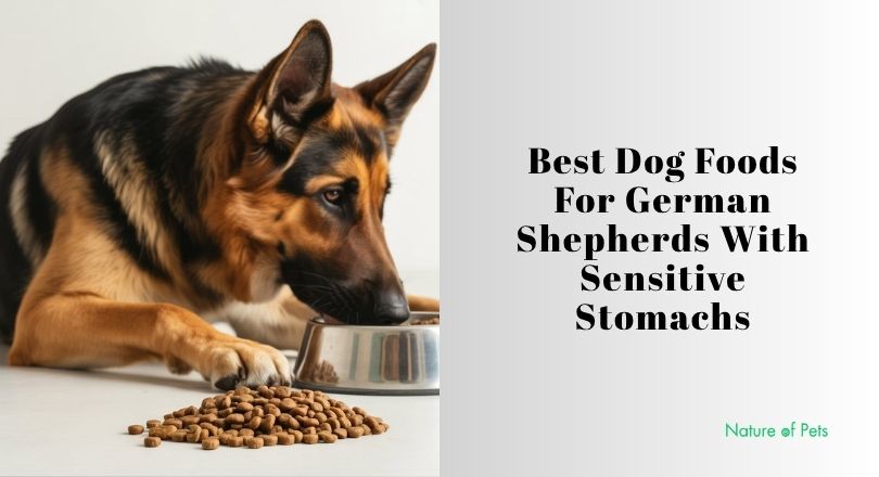 best dog foods for german shepherds with sensitive stomachs