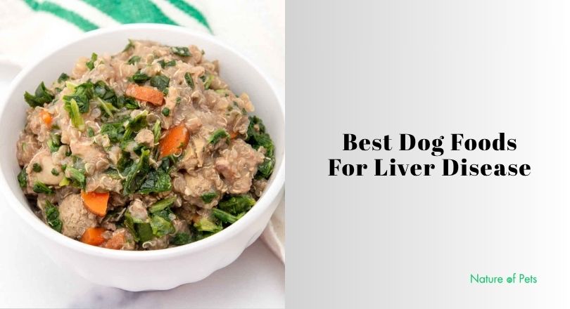 best dog foods for liver disease
